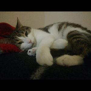 Meet your Posher, Bethany